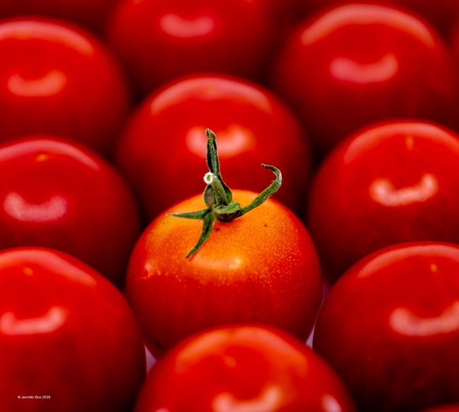 The One That Got Missed