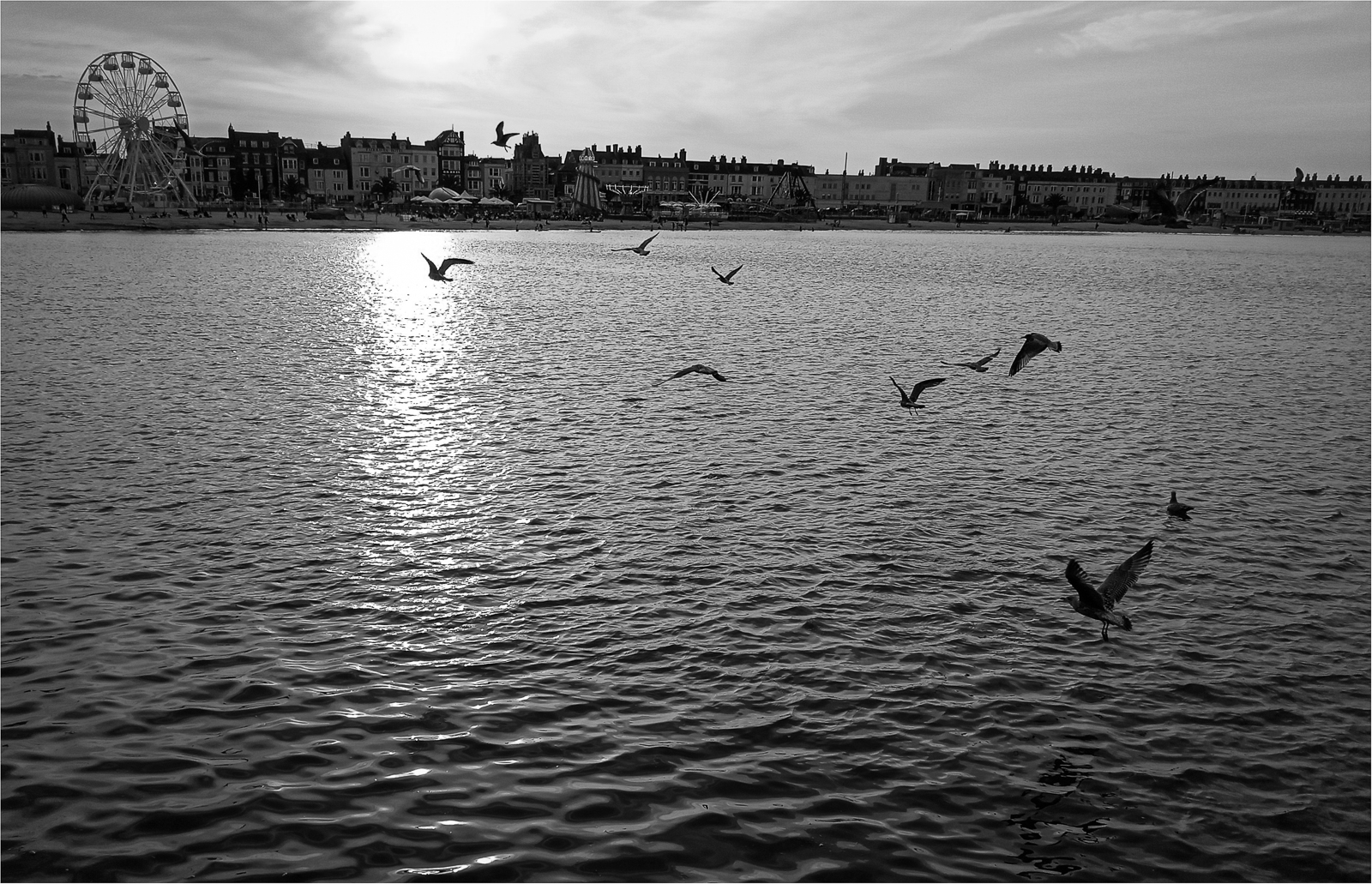 Highly Commended - Taking Flight - Brian Simpson