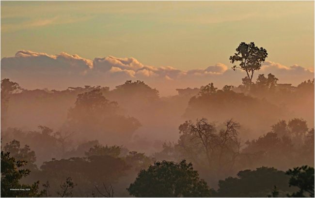 South African sunrise South African sunrise