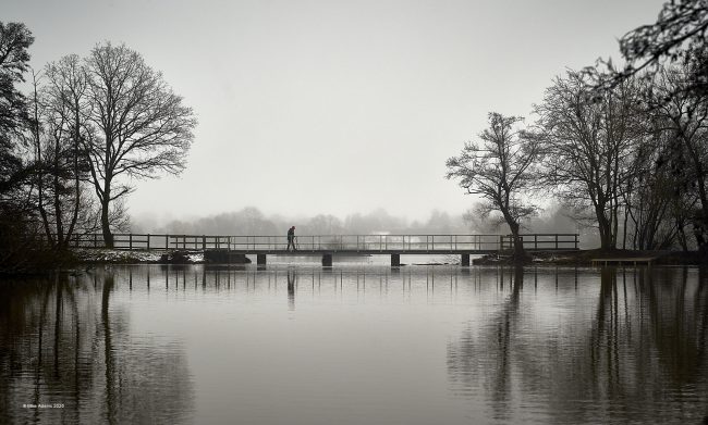 Crossing The Bridge Crossing The Bridge