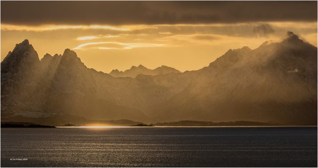 Golden Glow Golden Glow