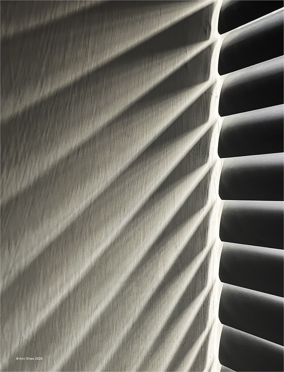 Rays and Ridges Rays and Ridges