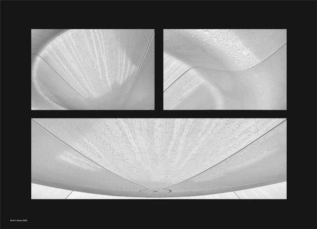 Surface Tension