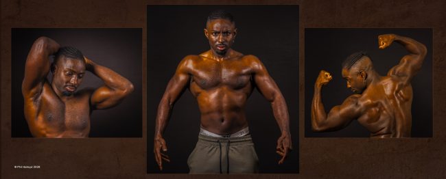 Muscles
