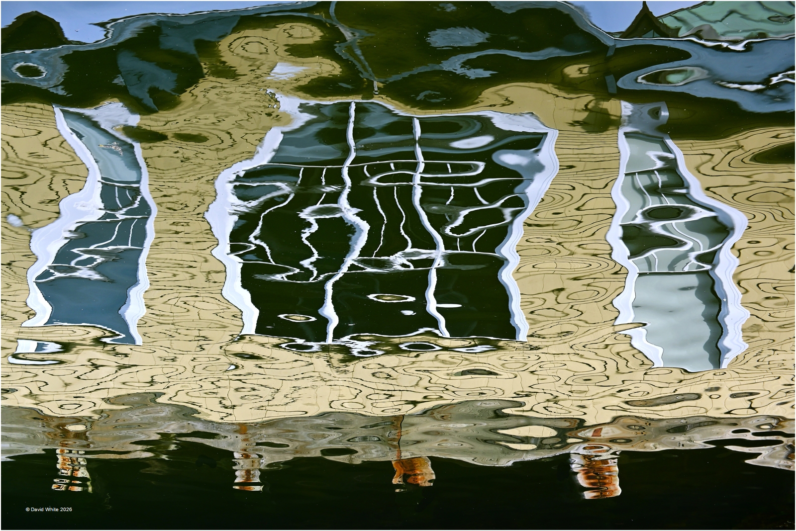 Halifax Harbour Ripples