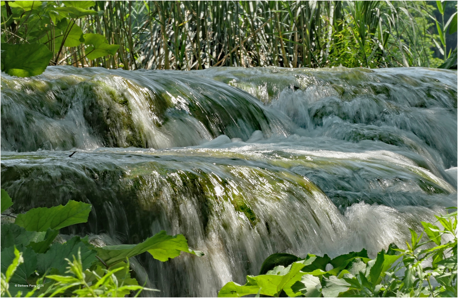 Tumbling Waters