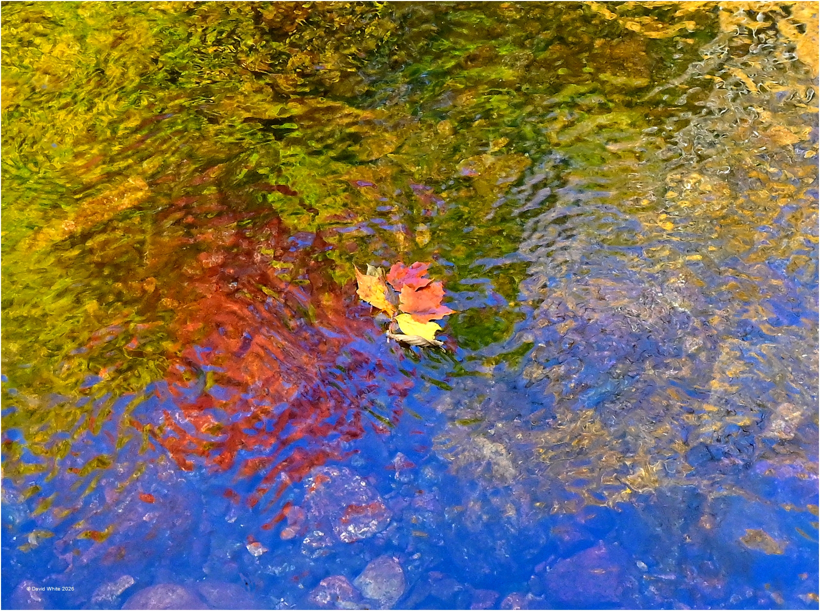 Water Colours